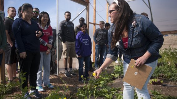 Engineering students participate in tour of EarthDance Farms in Ferguson