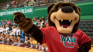 WashU bear mascot cheering at volleyball game
