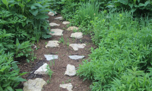 Ibby's Garden path