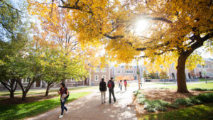 Students walking beneath a yellow tree