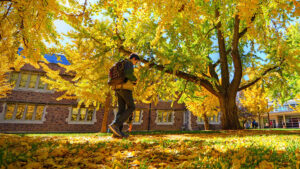 Student walking in fall leaves