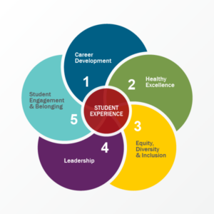Student Affairs Strategic Plan Anchors